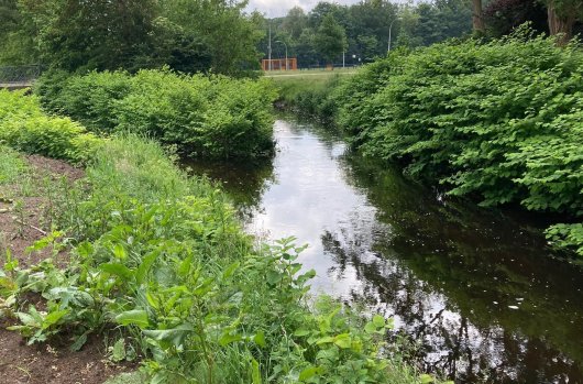 jdk Goudenregenstraat2_web.jpg