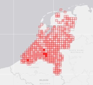 Waarnemingen van Aziatische hoornaar, (waarneming.nl, 2024). 