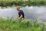 Handmatig verwijderen Grote waternavel uit oevers (&copy; Wageningen UR)